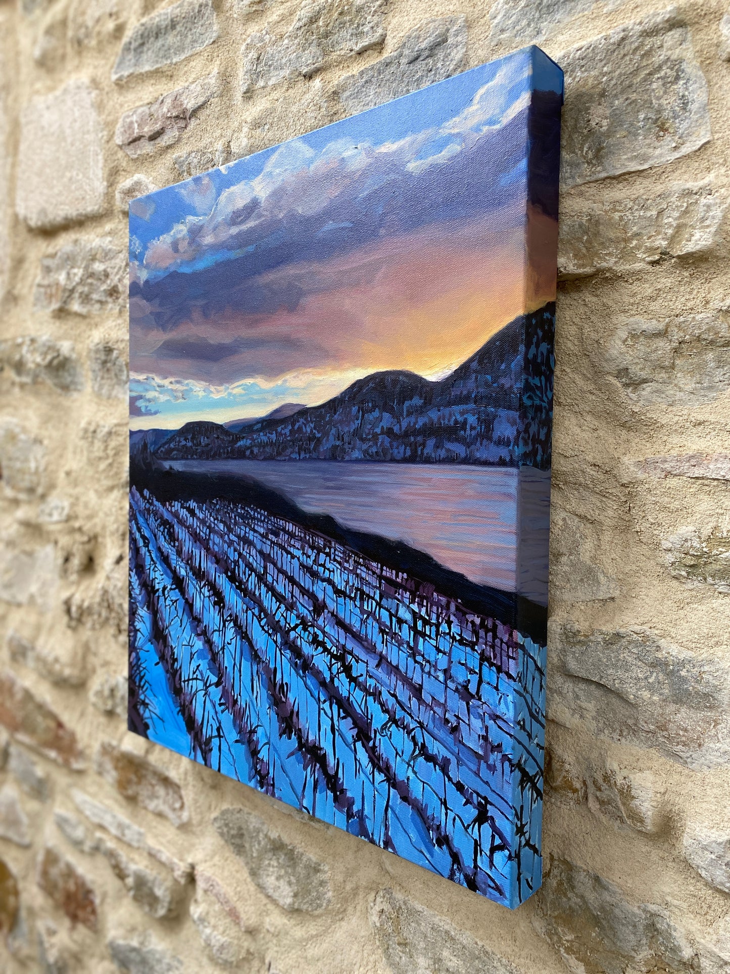 Midwinter Okanagan