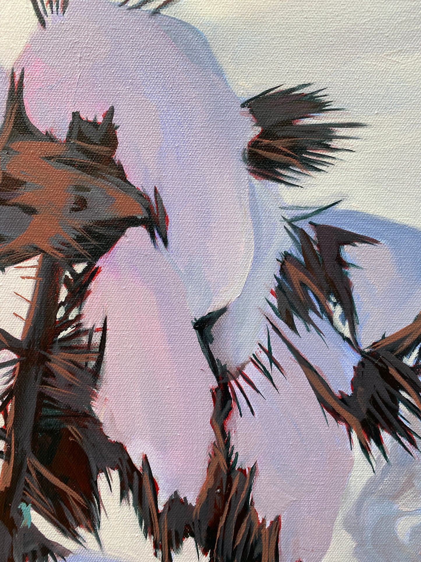 Sequoia Glow (Print)