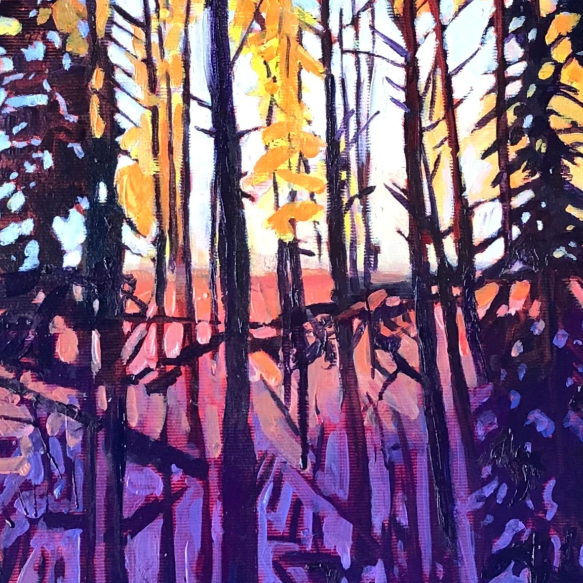 Last Light Remebered