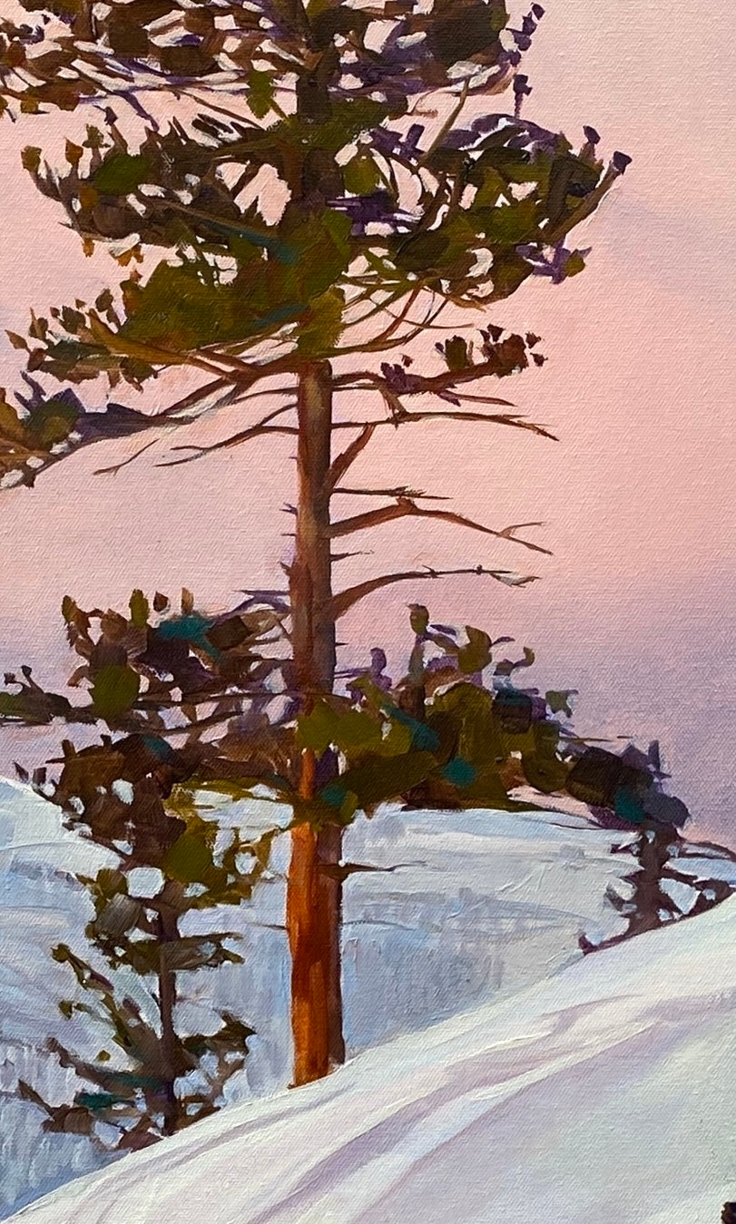 Sequoia Glow (Print)