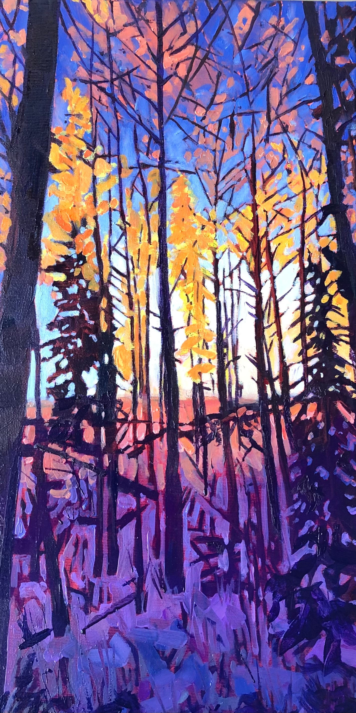 Last Light Remebered